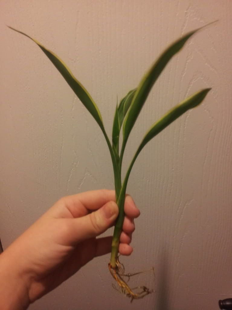 20120926_205443.jpg