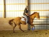 yayponies020.jpg
