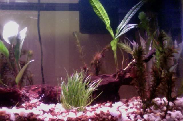 Photoon2-29-12at547PM.jpg