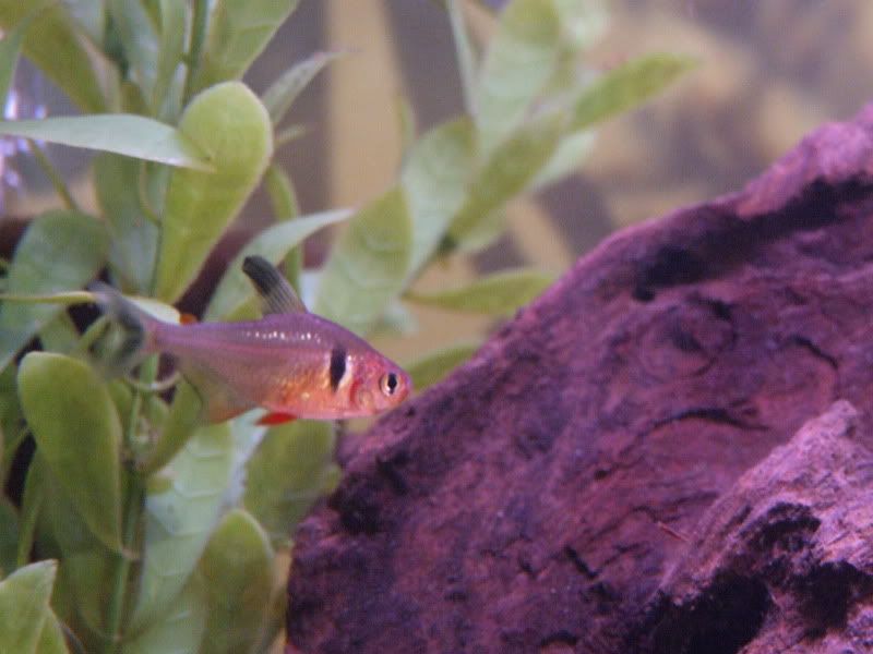 DSCF5792.jpg