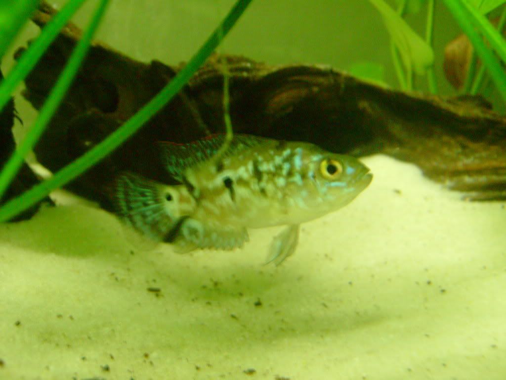 SANY0007.jpg
