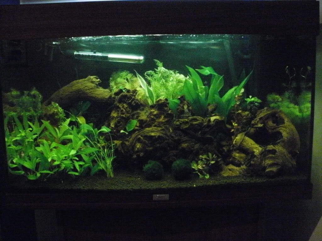 P1010002.jpg