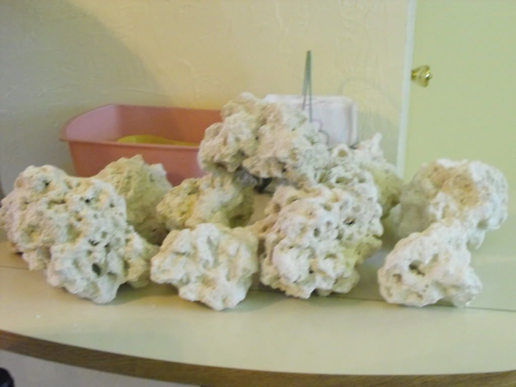 j001.jpg