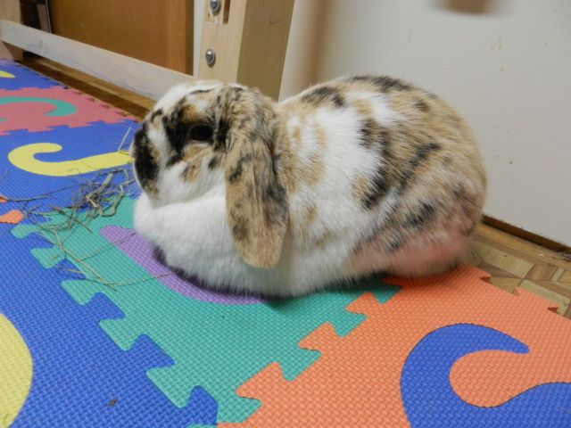 DSCN3292.jpg