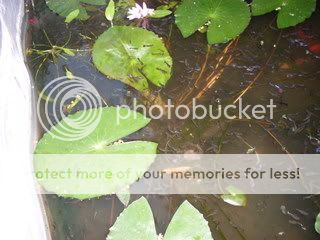SDC11570.jpg