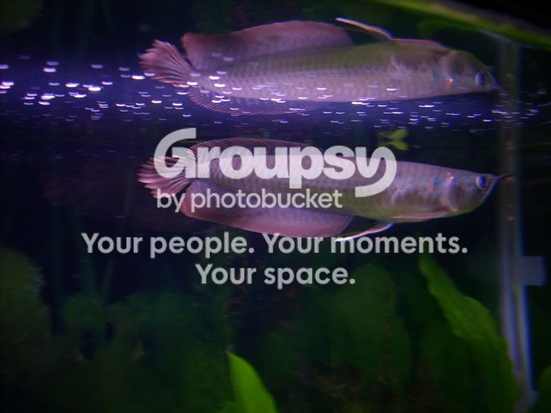DSCN0904.jpg