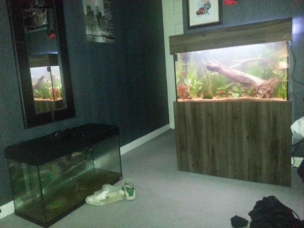 20121206_222644.jpg