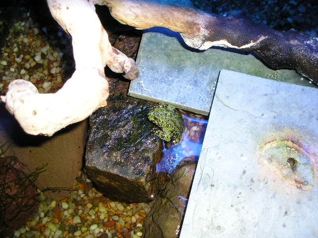 allpics5257.jpg