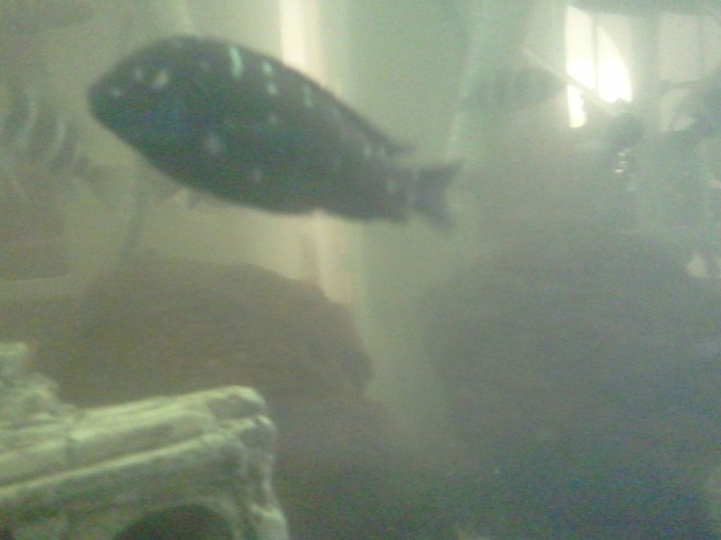 2012-08-07101734.jpg