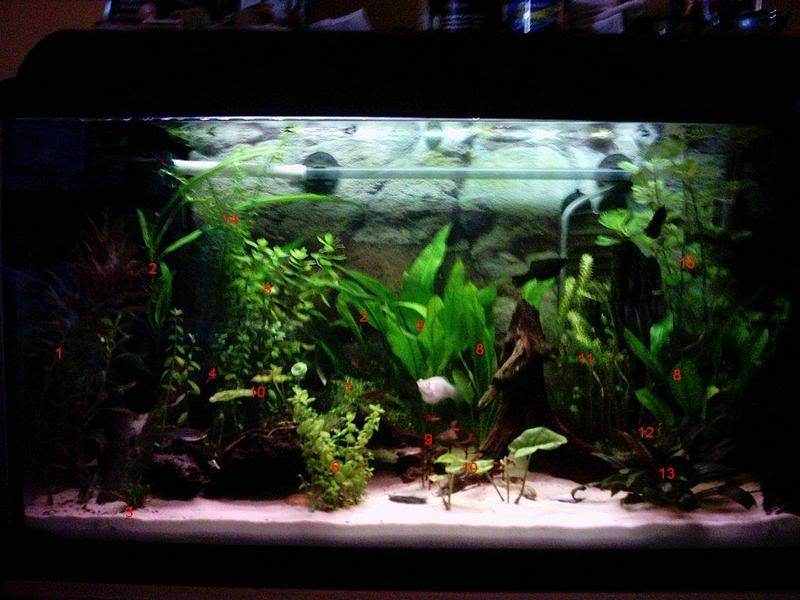 PlantsList.jpg