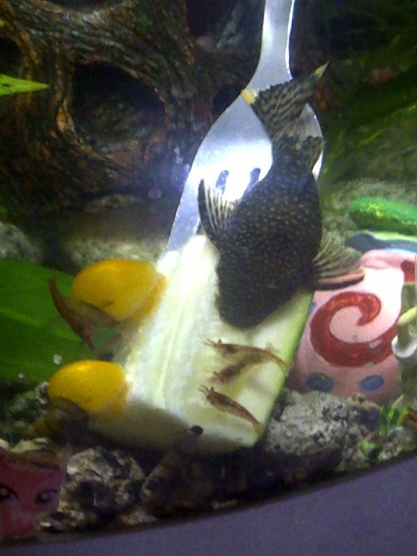 IMG-20111018-01027.jpg