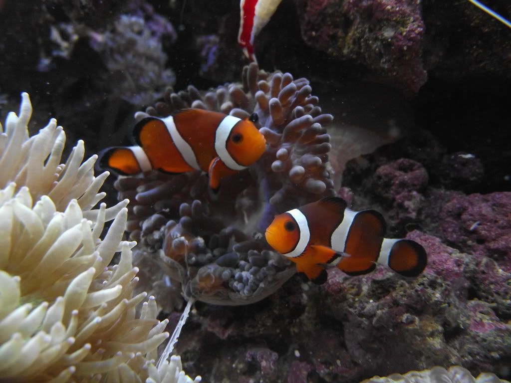 DSCF2112.jpg