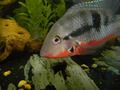 DSCN1055.jpg