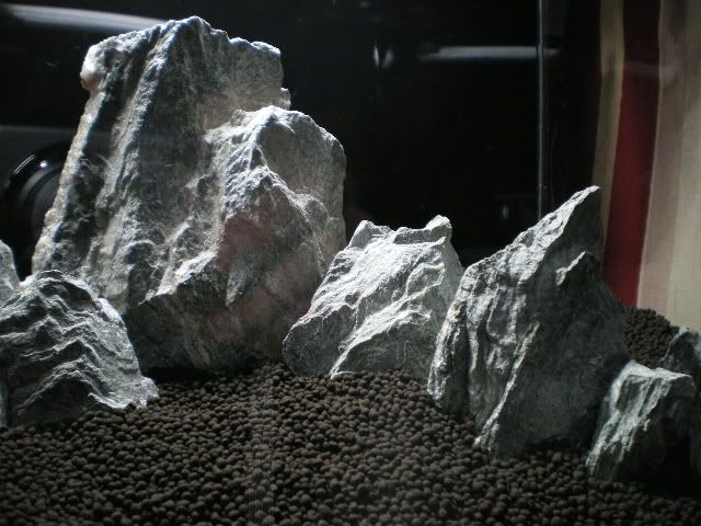 IMGP1028.jpg
