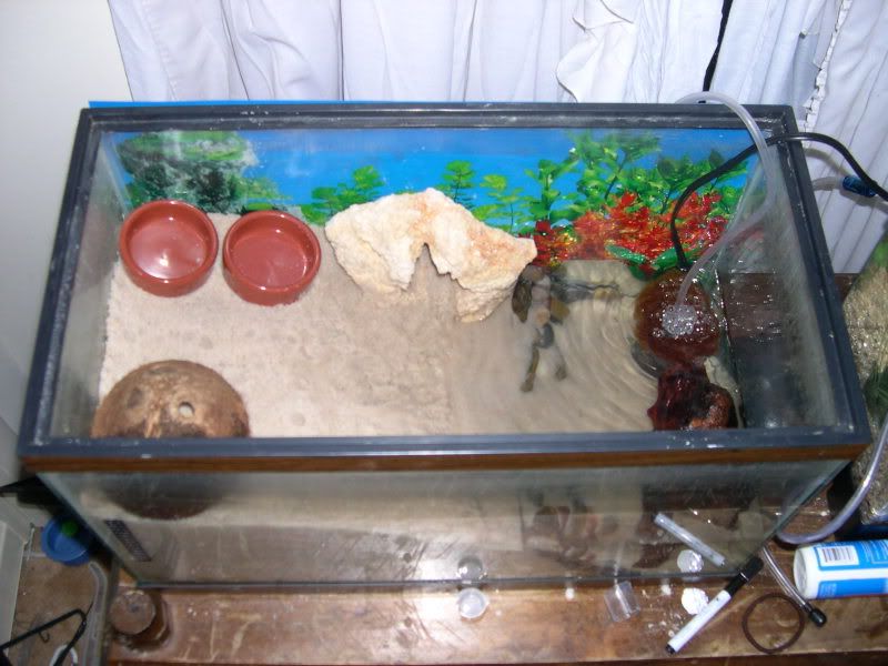 DSCN0460.jpg