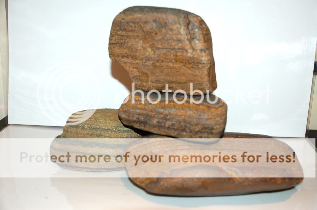 58355dbc.jpg