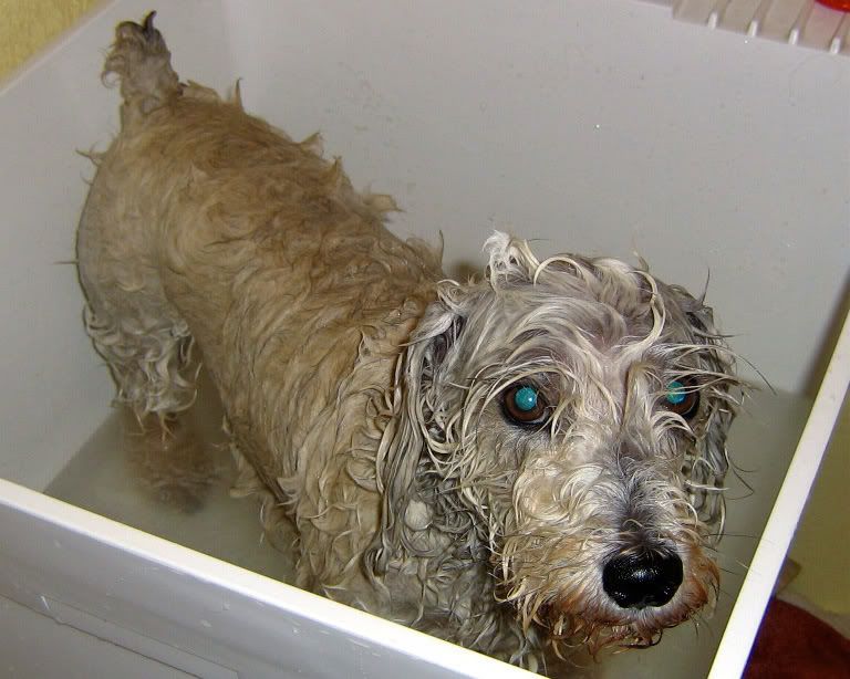 BathTime.jpg