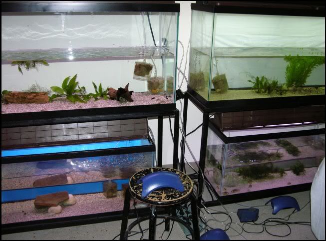 Waterchanges.jpg