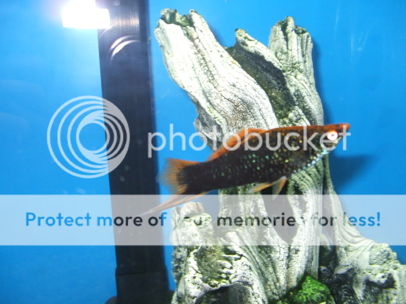 batchloretteparty-032.jpg