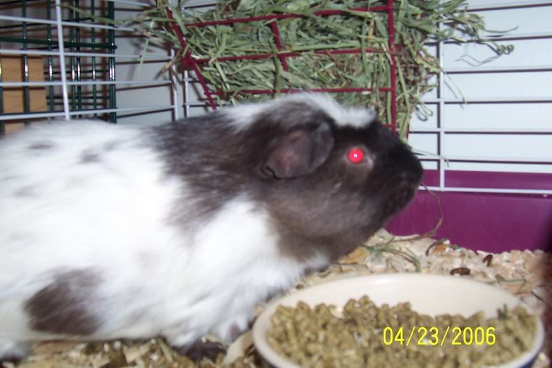 100_0136.jpg