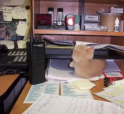 100_2295.jpg