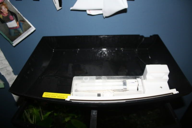 IMG_4673.jpg