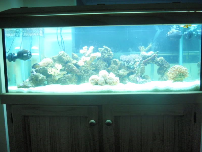 FTS-09-08-2010.jpg