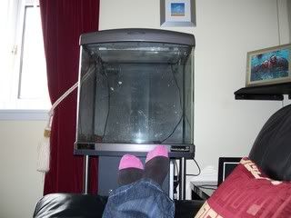 100_1030.jpg