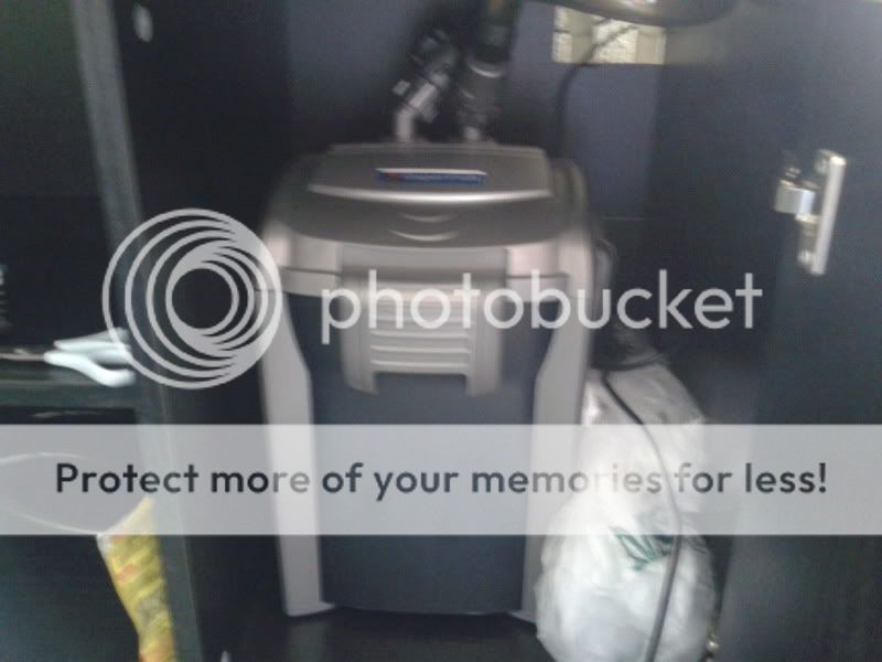 2011-05-31123547.jpg