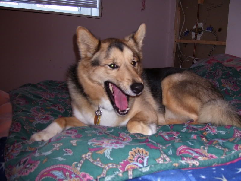 000_0038.jpg
