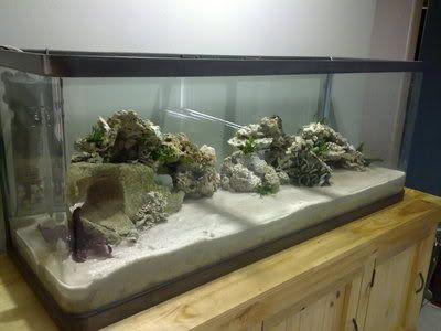 Coral4.jpg
