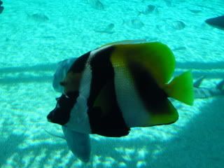 SDC12240.jpg