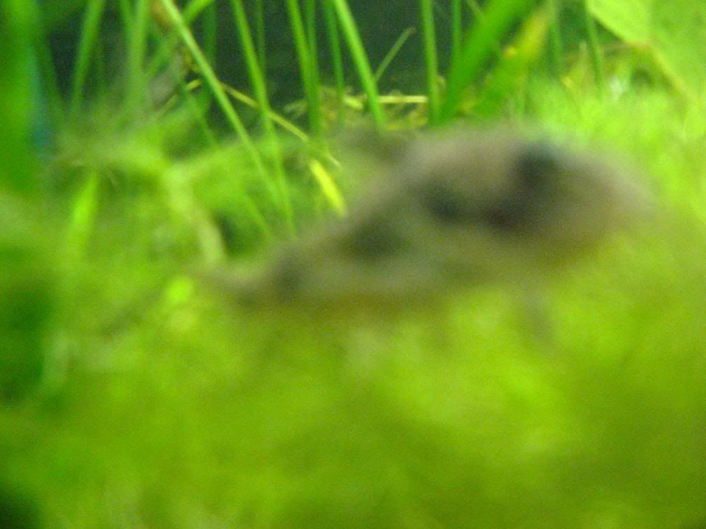 IMG_0008.jpg
