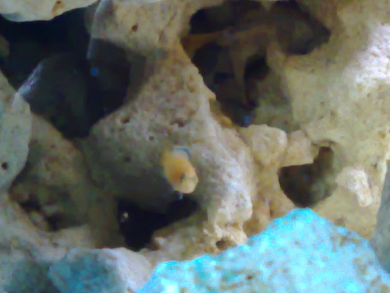 28052007009.jpg