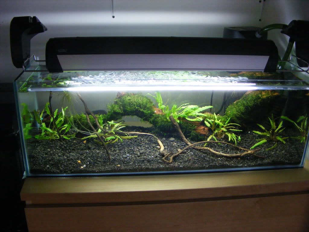 DSCF3147.jpg