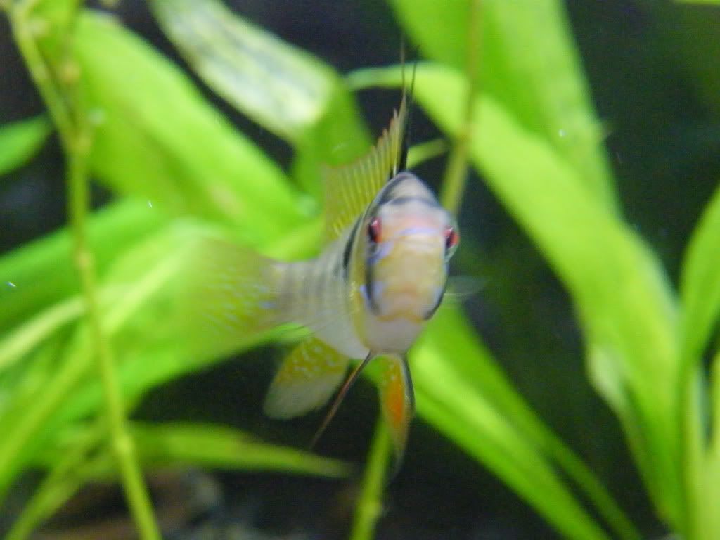DSCF4708.jpg