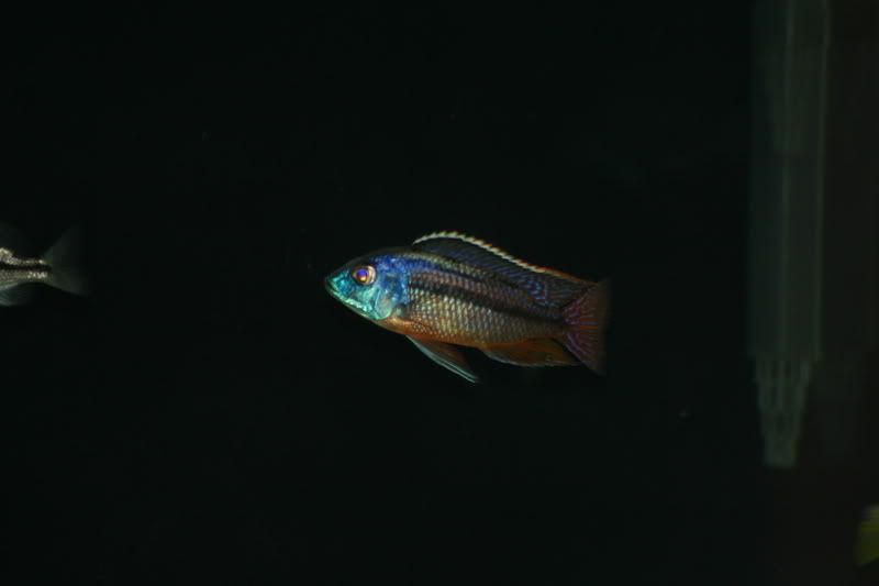 IMG_5812.jpg