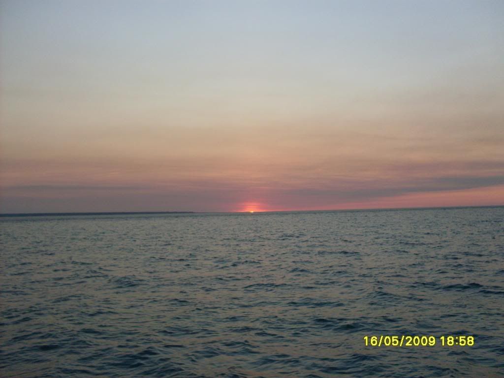 darwin027.jpg
