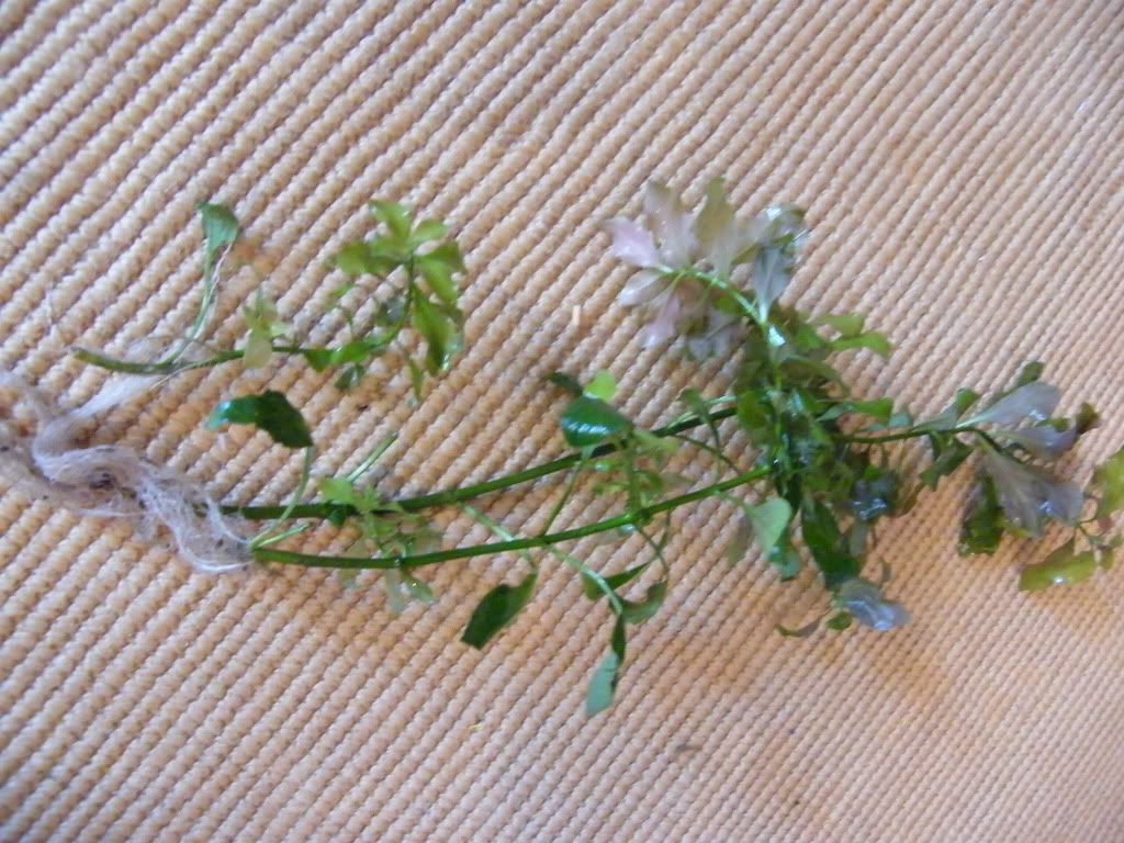 DSCF4888.jpg