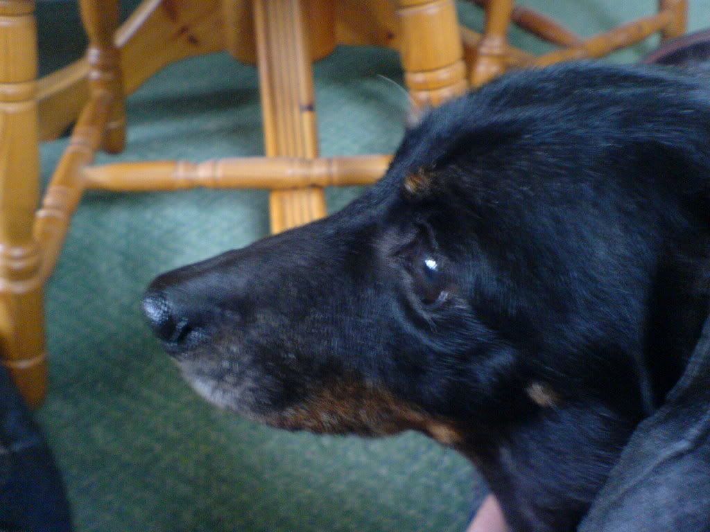Gerisphotos018.jpg