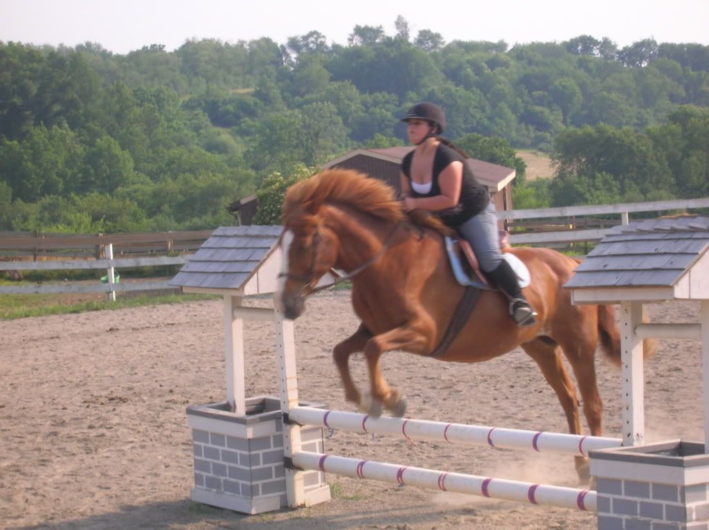 horse004.jpg