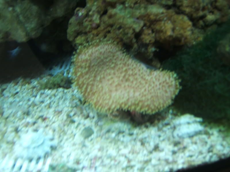 DSCF1493.jpg