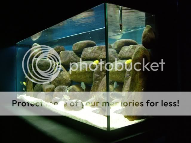 DSCF3599.jpg