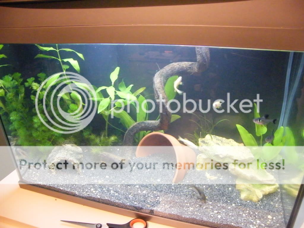 DSCF4299.jpg