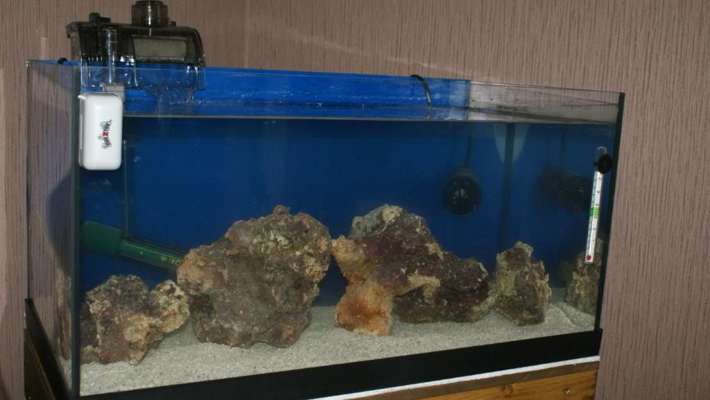 17thjune2009003.jpg