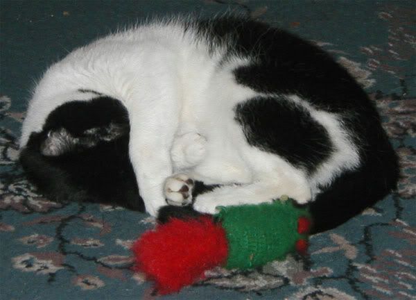 suzysleepy.jpg