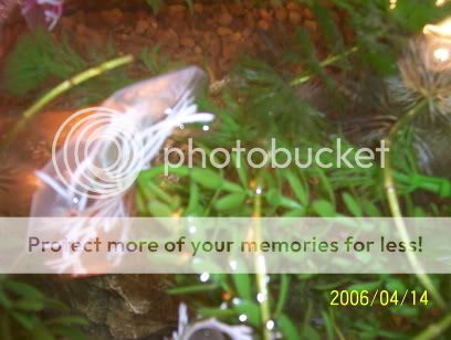 000_1020.jpg