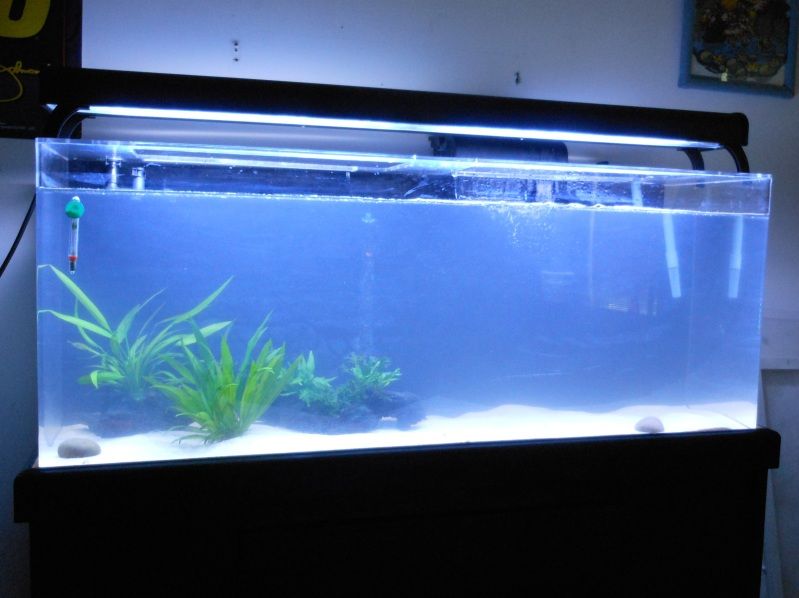 DSCN1778.jpg