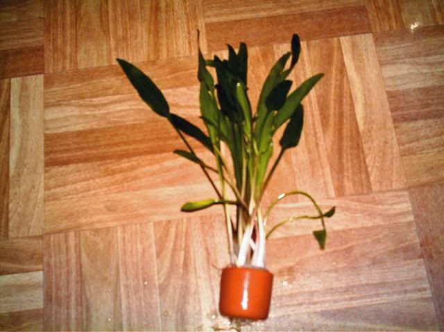IMAG0010_edited.jpg