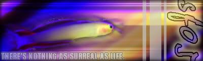 surreal.jpg